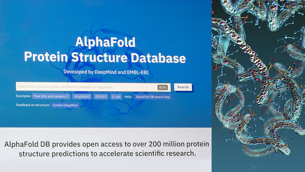 AlphaFold, Google DeepMind’s protein structure prediction AI