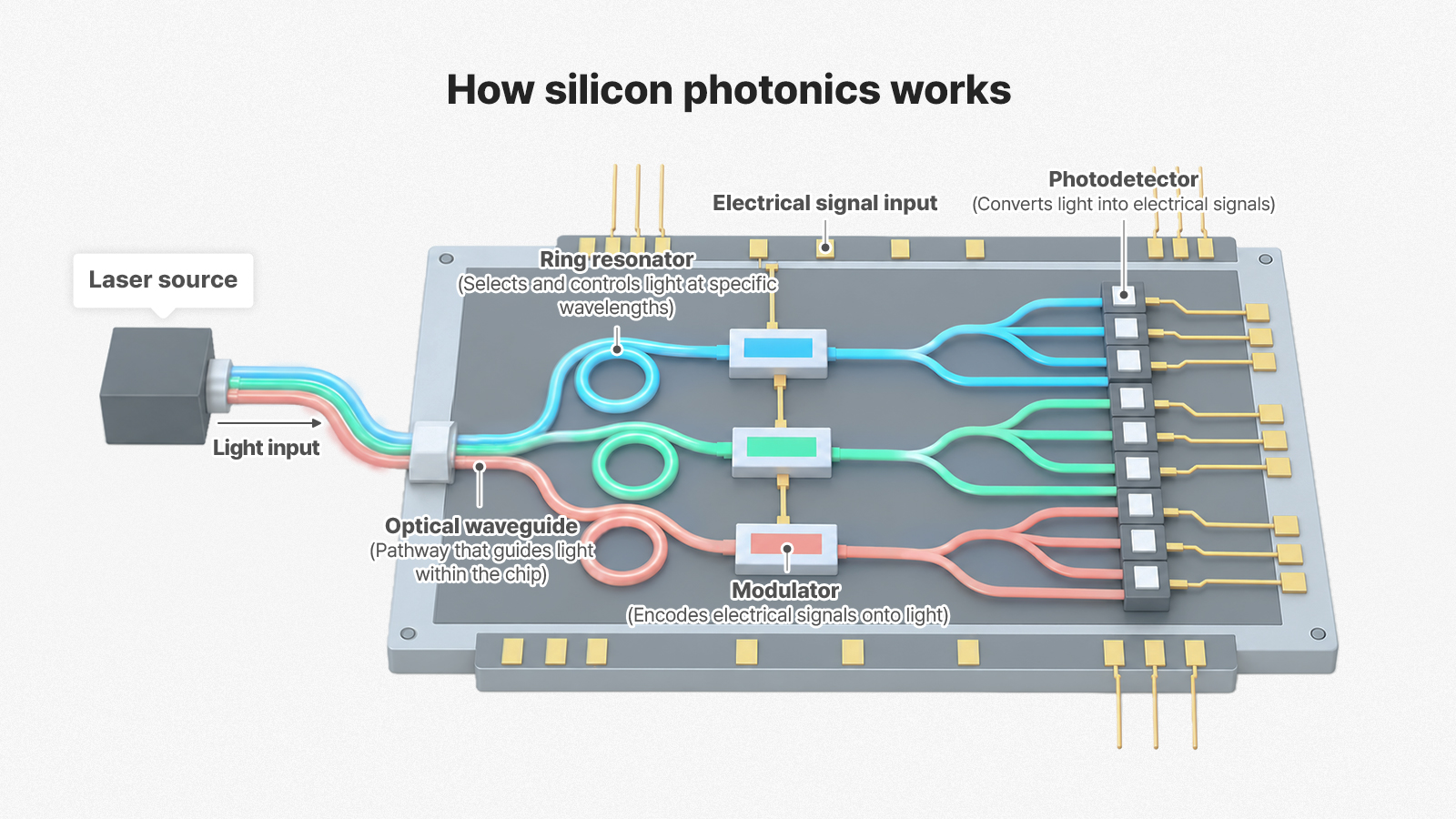 ▲ Silicon photonics directs light entering through an optical fiber into waveguides within a silicon photonic integrated circuit (PIC), where integrated components such as ring resonators, modulators, and photodetectors control the light. Within this small chip, electrical signals can be encoded srcset=
